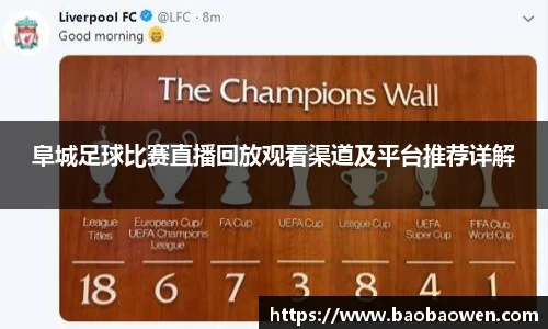 阜城足球比赛直播回放观看渠道及平台推荐详解