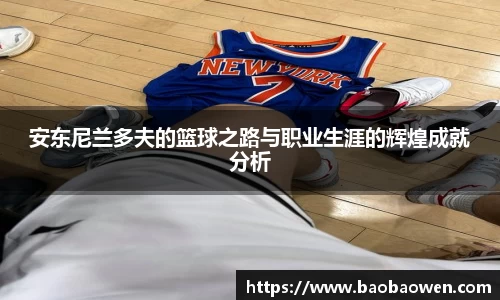 安东尼兰多夫的篮球之路与职业生涯的辉煌成就分析